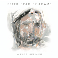 Peter Bradley Adams - A Face Like Mine artwork