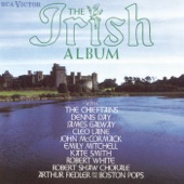 The Irish Album artwork