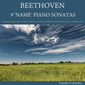 Beethoven: 9 "Name" Piano Sonatas artwork