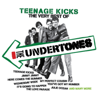 The Undertones - Teenage Kicks - The Very Best of the Undertones artwork