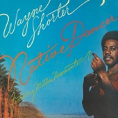 Wayne Shorter - Ponta de Areia