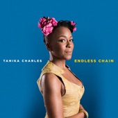 Endless Chain (Instrumental) artwork