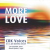 More Love (feat. Jan Lenselink & Ronald Ijmker)