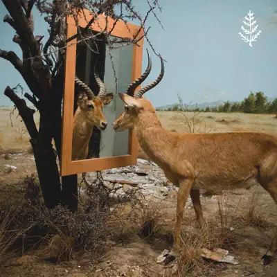Estado Natural - Single - Bocatabú