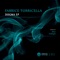 Dogma (Subsight Remix) - Fabrice Torricella lyrics