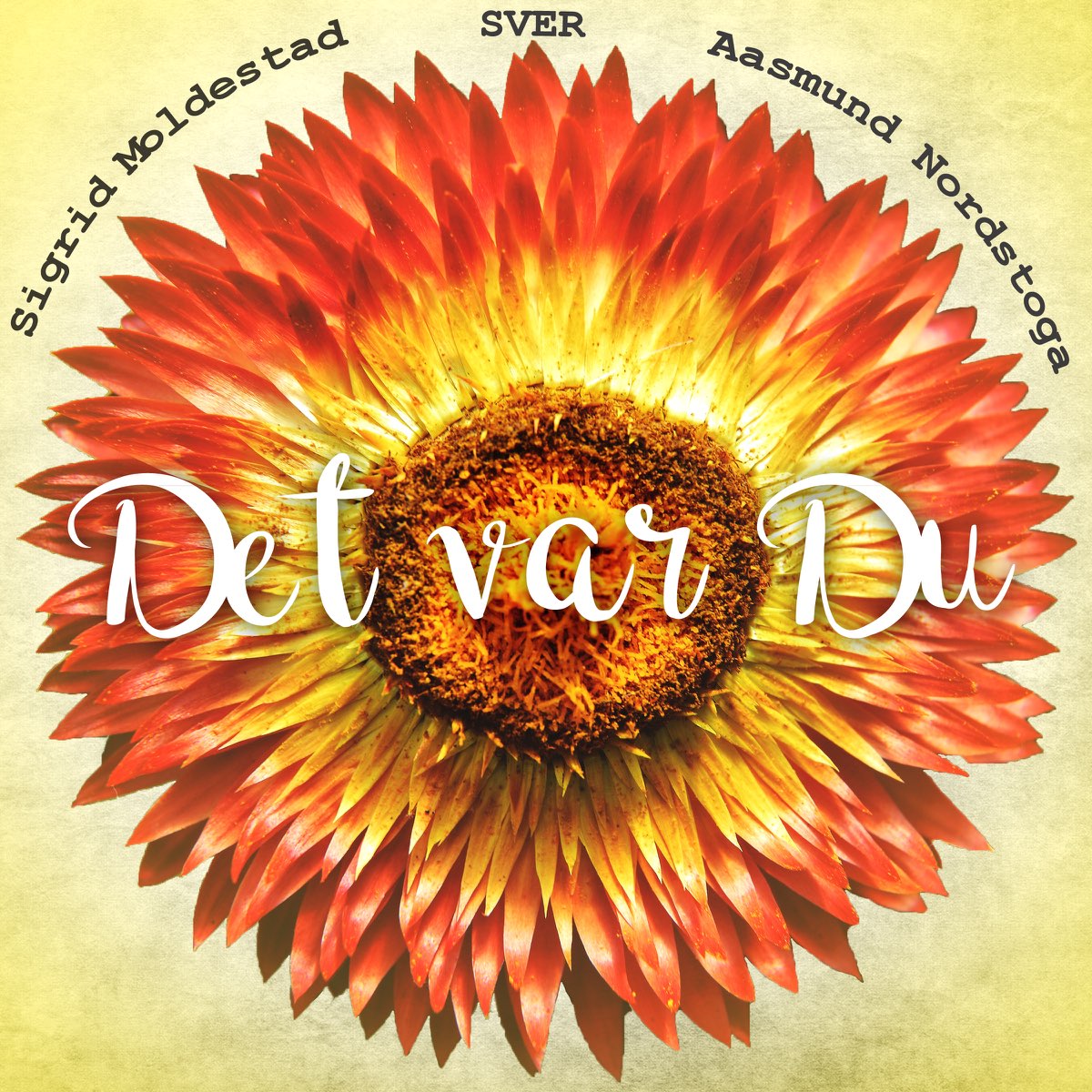 ‎Det Var Du (Bergteken) - Single By Aasmund Nordstoga, Sigrid Moldestad ...