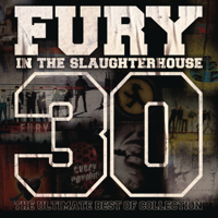 Fury In the Slaughterhouse - Time to Wonder artwork