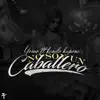 Yo No Soy un Caballero (feat. Yomo & Kendo) - Single album lyrics, reviews, download