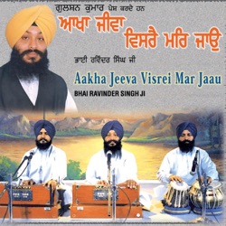 Bhai Ravinder Singh Ji - Toon Thakur Tum Peh Ardaas