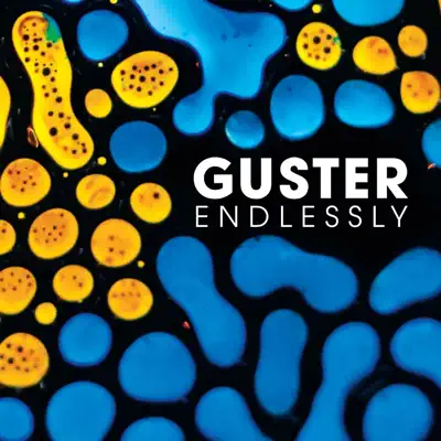 Endlessly (Radio Edit) - Single - Guster