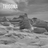 Trigona - Von Graf