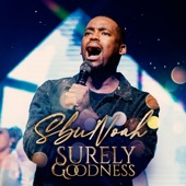 Surely Goodness artwork