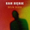 Delik Deşik - Single