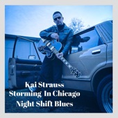 Storming in Chicago (feat. Toronzo Cannon) artwork