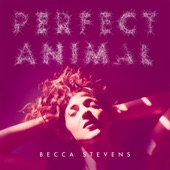 Becca Stevens Band - Tillery