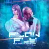 Flow Fly song lyrics