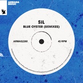 Blue Oyster (Richy Ahmed Remix) artwork