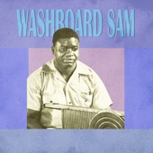 Washboard Sam - I've Been Treated Wrong