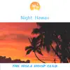 Hawaii Excursion song lyrics
