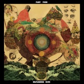 Fleet Foxes - Blue Spotted Tail