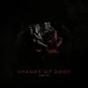 Shades of Dark - Single album lyrics, reviews, download