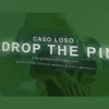 Drop the Pin - Single album lyrics, reviews, download