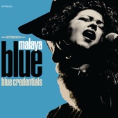 Malaya Blue - Curious