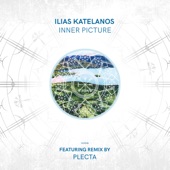 Inner Picture (Plecta Remix) artwork