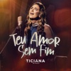 Teu Amor Sem Fim - Single