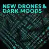 New Drones and Dark Moods album lyrics, reviews, download