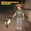 Schwarzes Schaf - Single