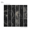 Dan Iulian Drutac - Colombo / Green Fingers