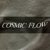 Cosmic Flow - EP