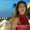 Skyfall - Single