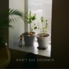 Don't Say Goodbye