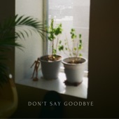 Couvo - Don't Say Goodbye