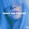What Did You Say (AVIRA Remix) - Single