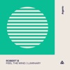 Feel the Wind / Luminary - EP