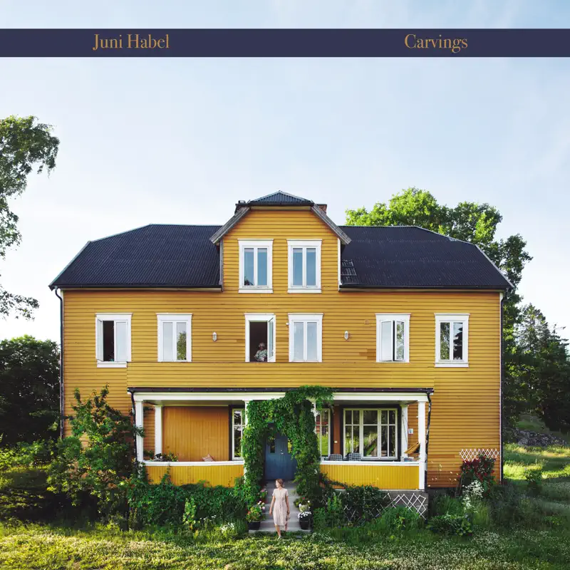 Juni Habel - Carvings (2023) [iTunes Plus AAC M4A]-新房子