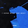 I Know What You Want - Single