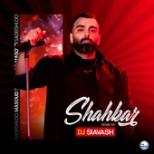 Shahkar (Remix) artwork
