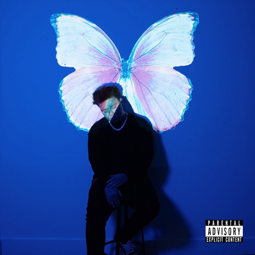 Phora - The Butterfly Effect (2022) [iTunes Plus AAC M4A]-新房子