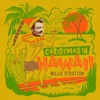 Christmas in Hawaii - Single