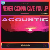 Never Gonna Give You Up (Acoustic Version) artwork