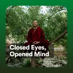 Closed Eyes, Opened Mind by Tranquility Spree, Zen Spa Zen Relaxation Zen Massage & Spa album reviews, ratings, credits