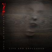 Until We Have Faces Live and Unplugged (Live) artwork