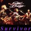 Survivor - EP