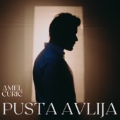 Pusta Avlija artwork