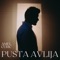 Pusta Avlija artwork