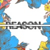 The Reason - Single